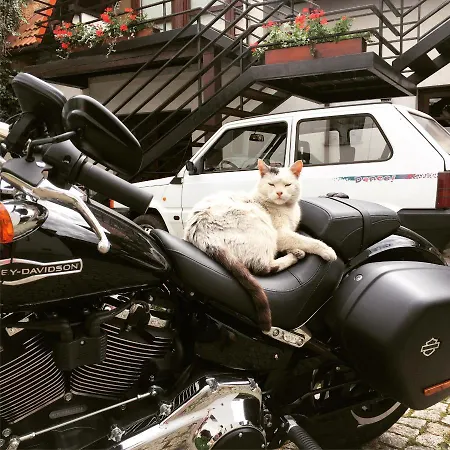 Hotel Beskid Milówka