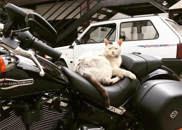 Hotel Beskid Milówka